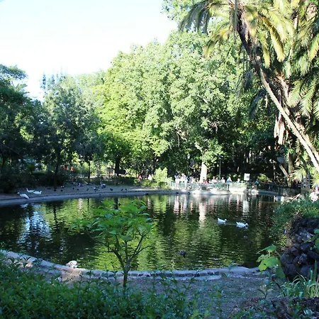 Lägenhet Estrela Penthouse - Amazing Views *