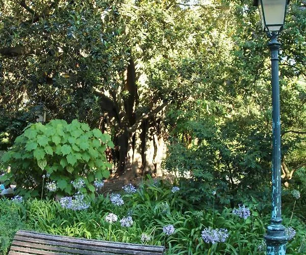 Estrela Penthouse - Amazing Views Appartement