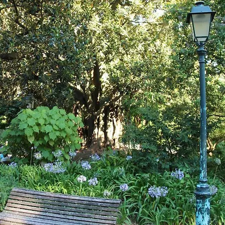 Estrela Penthouse - Amazing Views דירה